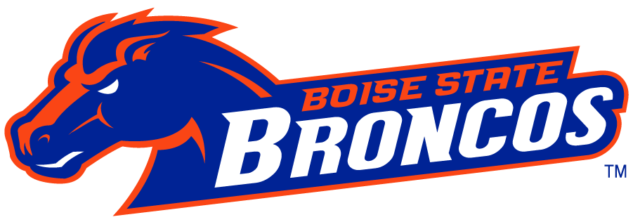 Boise State Broncos 2002-2012 Secondary Logo v2 DIY iron on transfer (heat transfer)